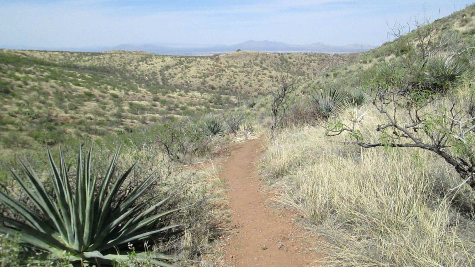 A new hiking trail expands recreation options at Kartchner Caverns State Park